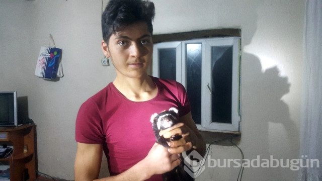 Köylüler kokarcayı bağrına bastı