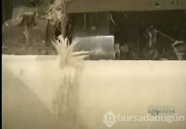 Kürdan nasıl yapılır?