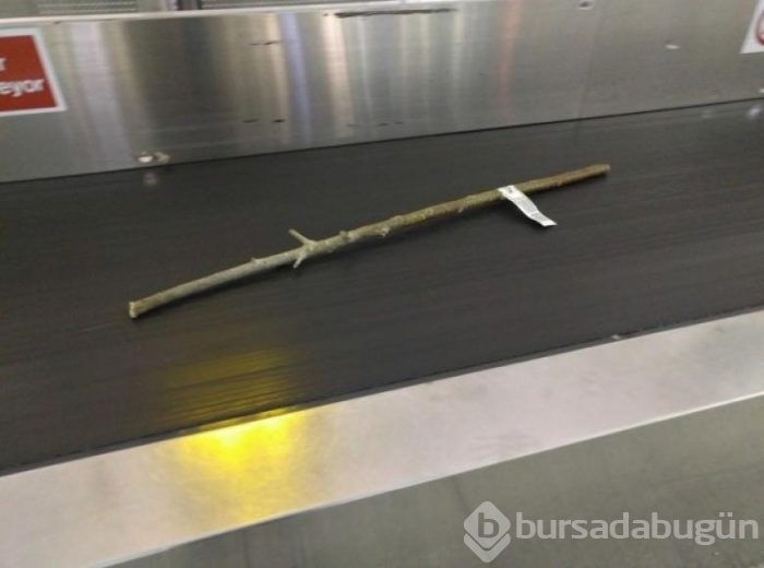 'Bir tuhaf' fotoğraflar