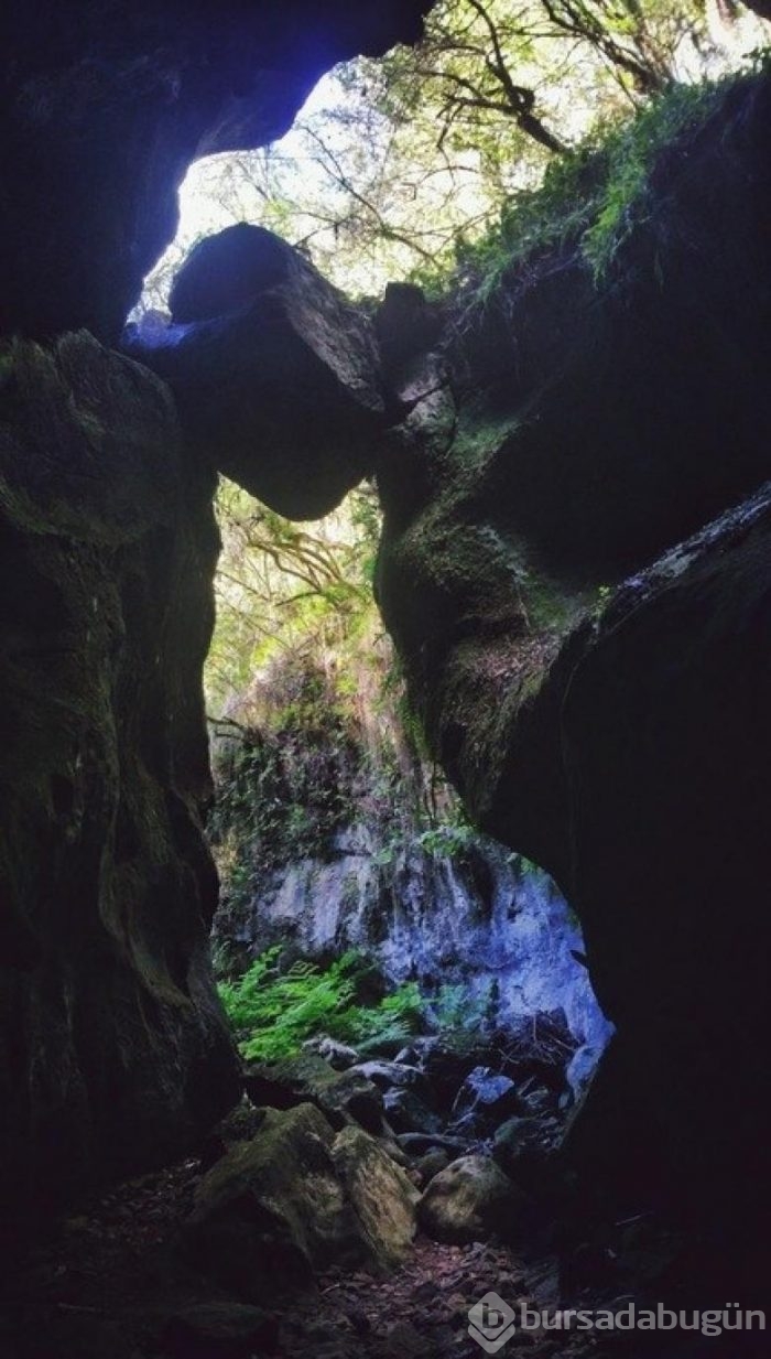 'Bir tuhaf' fotoğraflar