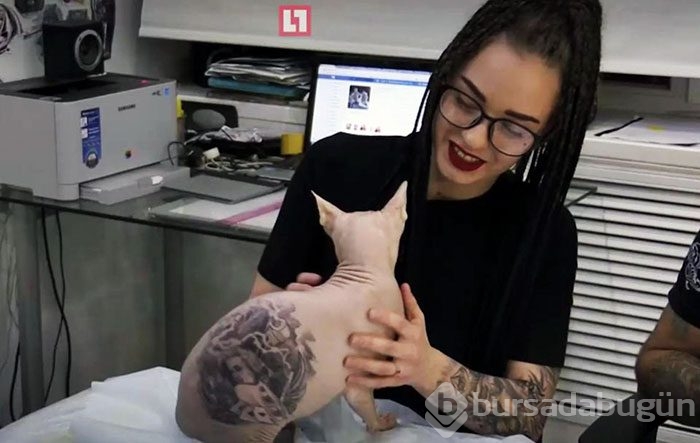 Kediye dövme yaptırdı, hayvanseverleri kızdırdı!