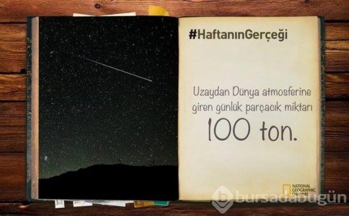 Daha önce duymadığınız 14 ilginç bilgi