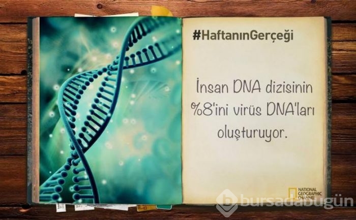 Daha önce duymadığınız 14 ilginç bilgi