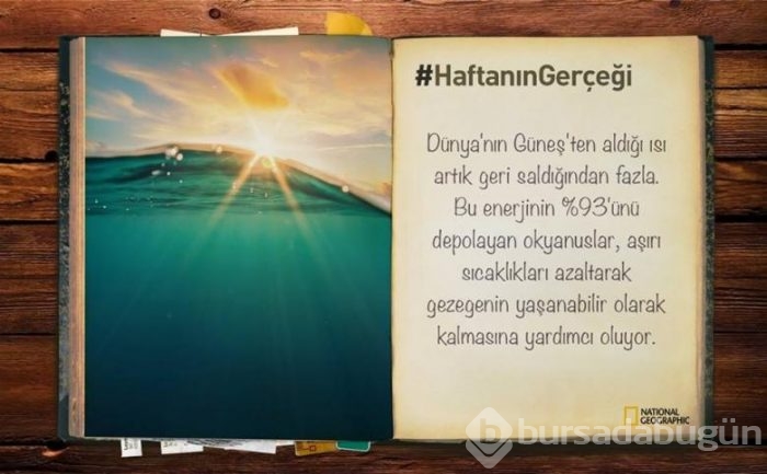 Daha önce duymadığınız 14 ilginç bilgi