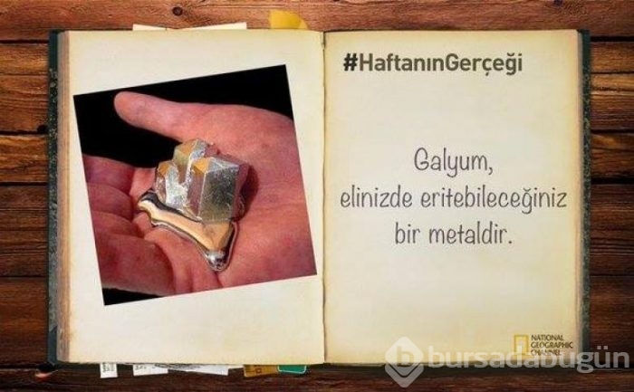 Daha önce duymadığınız 14 ilginç bilgi