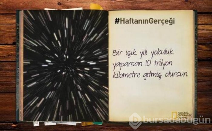Daha önce duymadığınız 14 ilginç bilgi