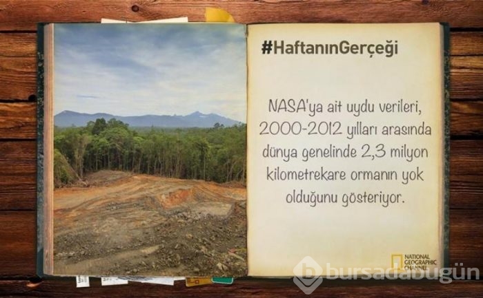 Daha önce duymadığınız 14 ilginç bilgi