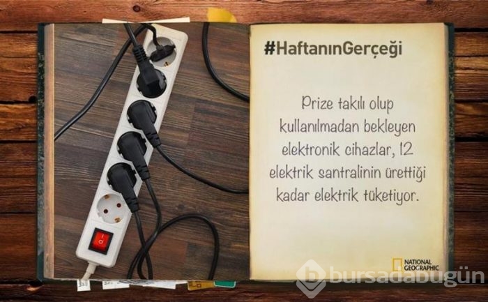 Daha önce duymadığınız 14 ilginç bilgi