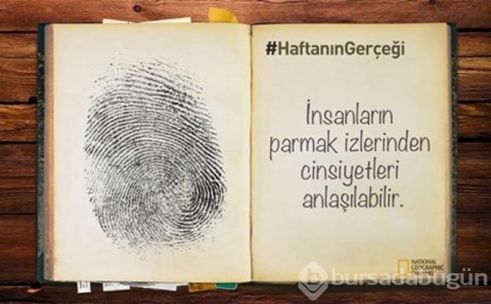 Daha önce duymadığınız 14 ilginç bilgi