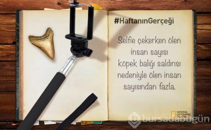 Daha önce duymadığınız 14 ilginç bilgi
