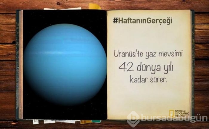 Daha önce duymadığınız 14 ilginç bilgi