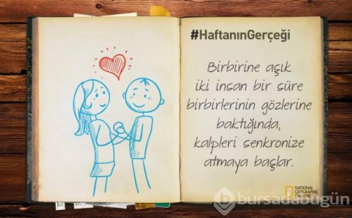 Daha önce duymadığınız 14 ilginç bilgi