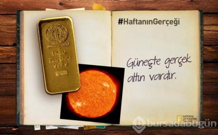 Daha önce duymadığınız 14 ilginç bilgi