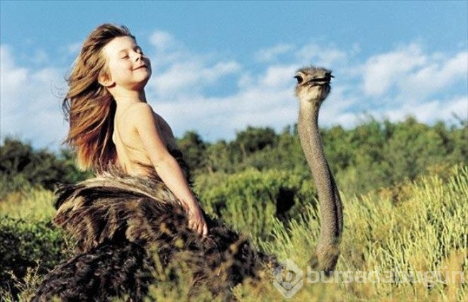 Leopar ve fillerle büyüyen kız: Tippi