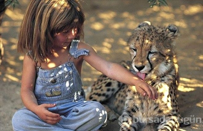 Leopar ve fillerle büyüyen kız: Tippi