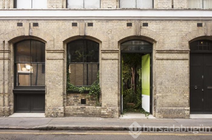 Londra'da şehrin ortasında doğayla buluşturan evler