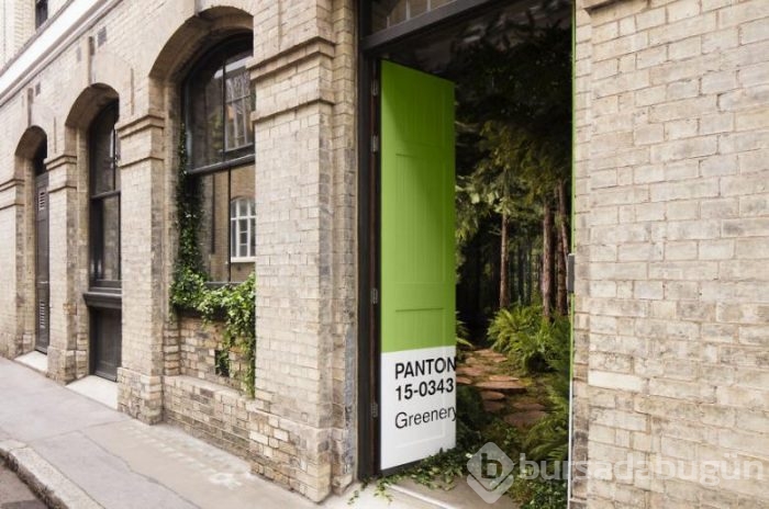 Londra'da şehrin ortasında doğayla buluşturan evler