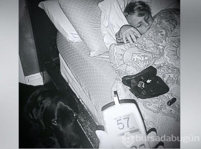 Akıllı köpek 'Jedi' hayat kurtarıyor