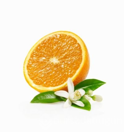 Benzediği organa iyi geliyor