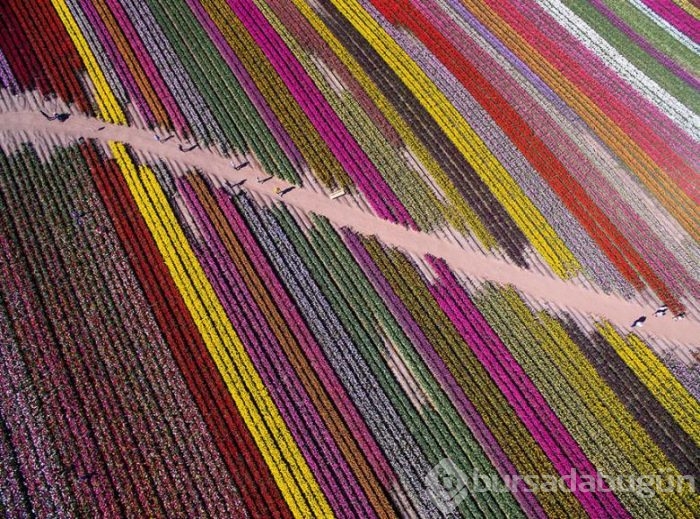 Dünyanın en güzel drone fotoğrafları