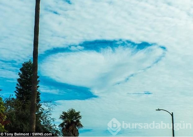 Kalifornia sahilindeki bulutu UFO zannettiler