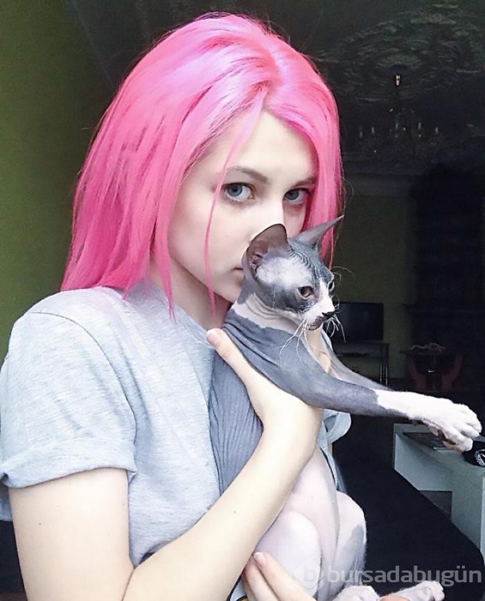 Saçlarda yeni trend: Gökkuşağı kedi traşı