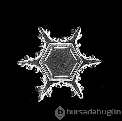 Daha önce görmediğiniz büyüleyici kar taneleri