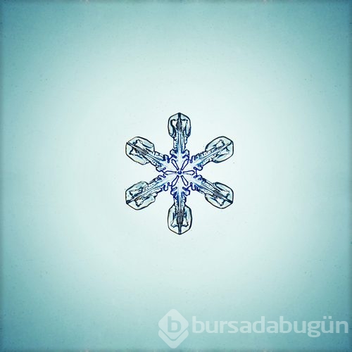 Daha önce görmediğiniz büyüleyici kar taneleri