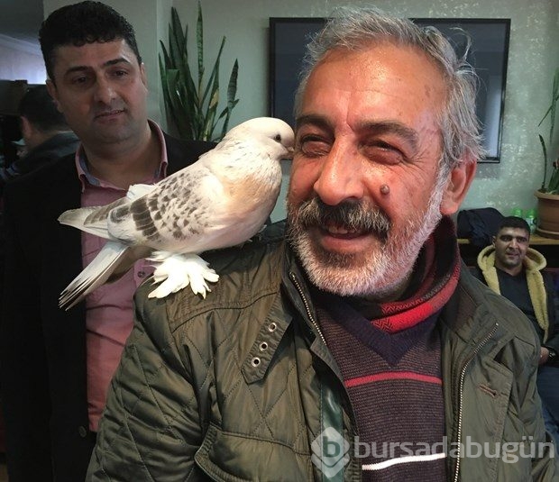 Bu güvercin 90 bin lira!