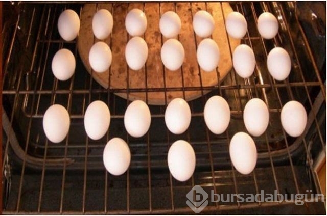 Hayatın her alanında yardımcı olabilecek bilgiler