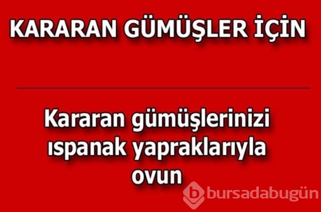 Hayatın her alanında yardımcı olabilecek bilgiler