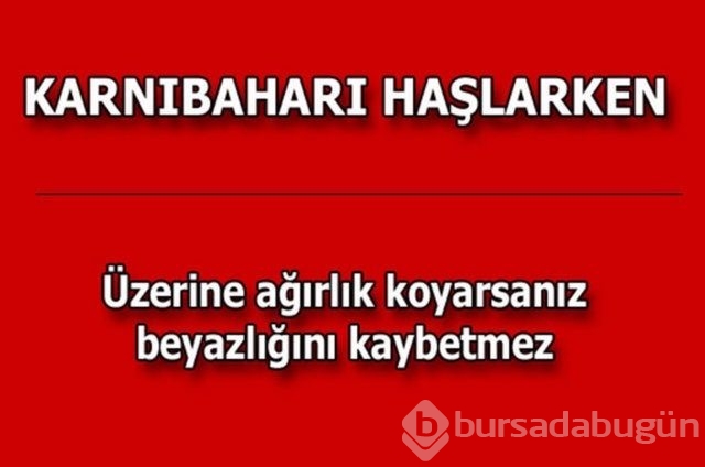Hayatın her alanında yardımcı olabilecek bilgiler