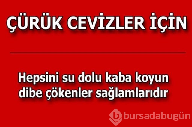 Hayatın her alanında yardımcı olabilecek bilgiler