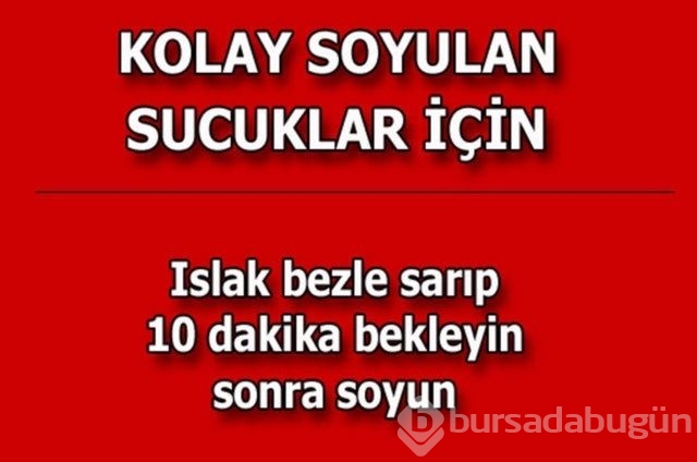 Hayatın her alanında yardımcı olabilecek bilgiler