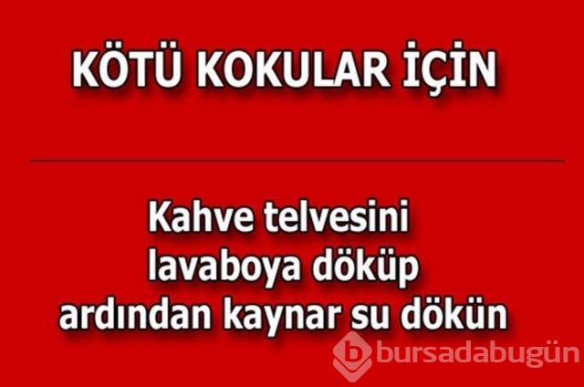 Hayatın her alanında yardımcı olabilecek bilgiler