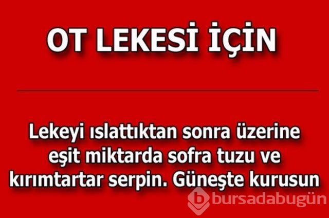Hayatın her alanında yardımcı olabilecek bilgiler