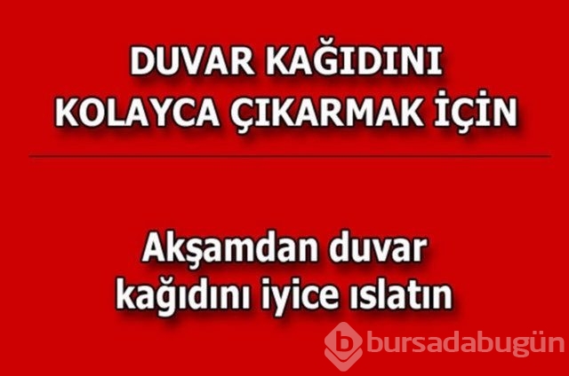 Hayatın her alanında yardımcı olabilecek bilgiler