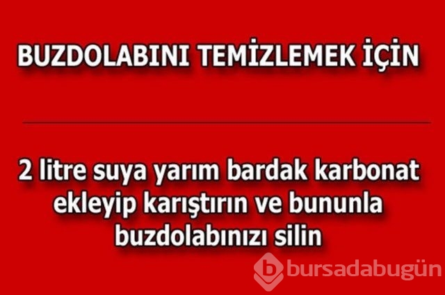 Hayatın her alanında yardımcı olabilecek bilgiler
