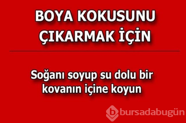 Hayatın her alanında yardımcı olabilecek bilgiler