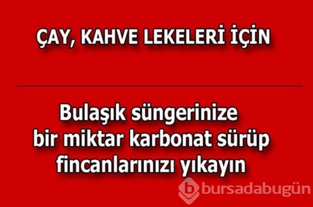 Hayatın her alanında yardımcı olabilecek bilgiler