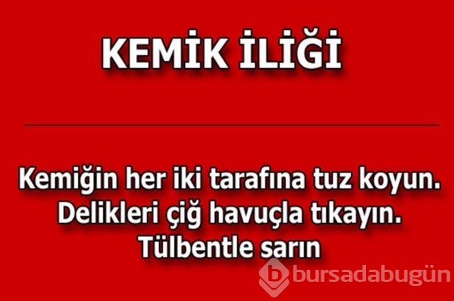 Hayatın her alanında yardımcı olabilecek bilgiler