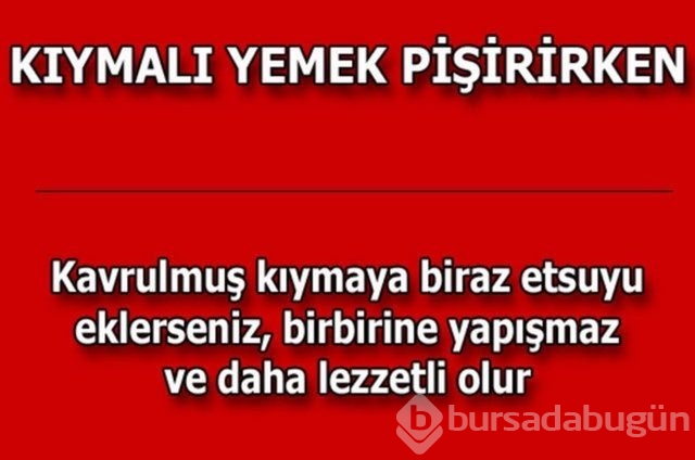 Hayatın her alanında yardımcı olabilecek bilgiler
