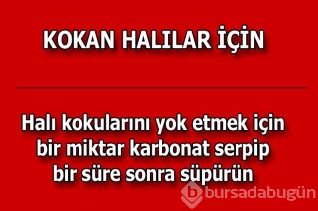 Hayatın her alanında yardımcı olabilecek bilgiler