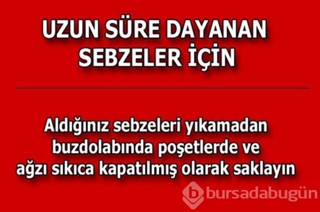 Hayatın her alanında yardımcı olabilecek bilgiler
