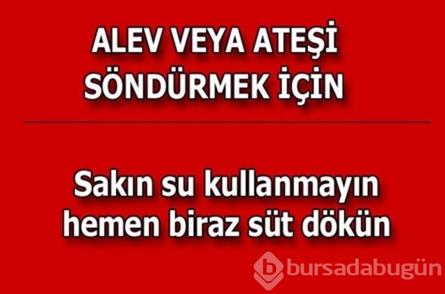 Hayatın her alanında yardımcı olabilecek bilgiler