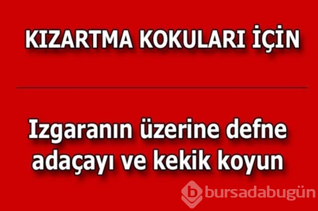 Hayatın her alanında yardımcı olabilecek bilgiler