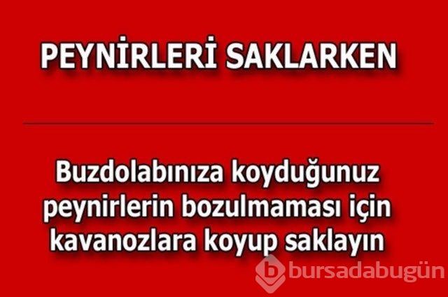 Hayatın her alanında yardımcı olabilecek bilgiler