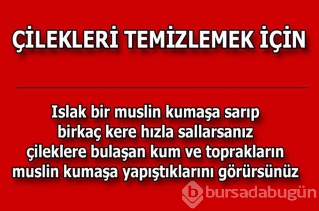 Hayatın her alanında yardımcı olabilecek bilgiler