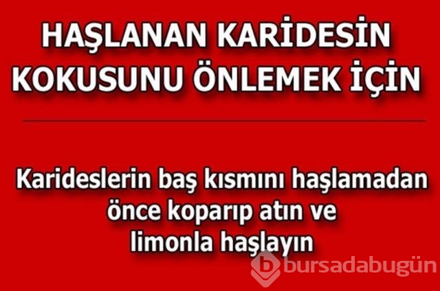Hayatın her alanında yardımcı olabilecek bilgiler