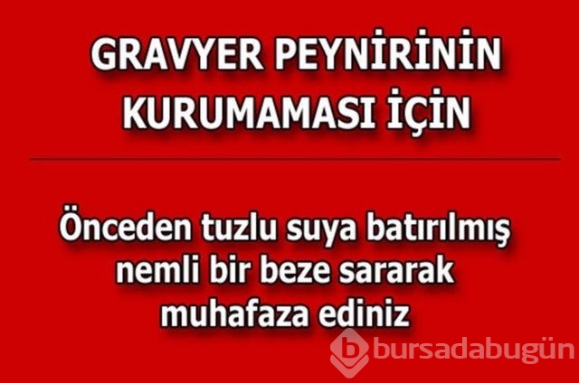 Hayatın her alanında yardımcı olabilecek bilgiler